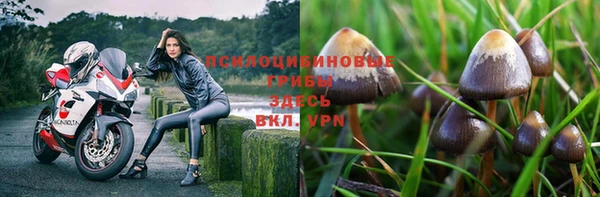 твердый Беломорск